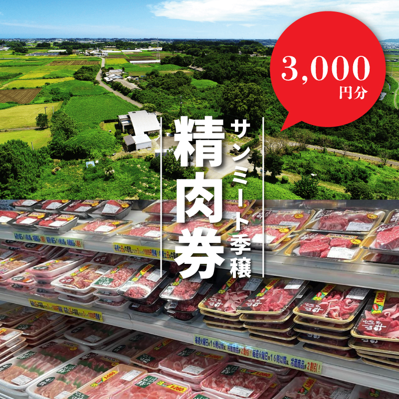 (eチケット)サンミート季穣　精肉券　3000円分　K16_0110